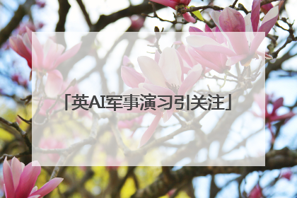 英AI军事演习引关注